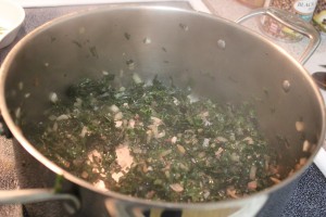 kale, onion & garlic